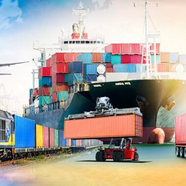 a propos sellami transit 10 emballage, entreposage